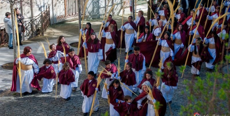 Cofradía de la Salud en el Domingo de Ramos