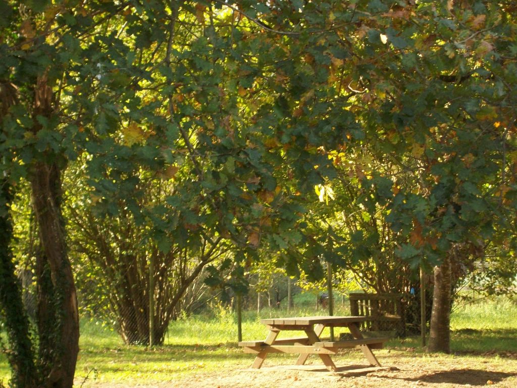 Parque Cubillas de Ramales de la Victoria