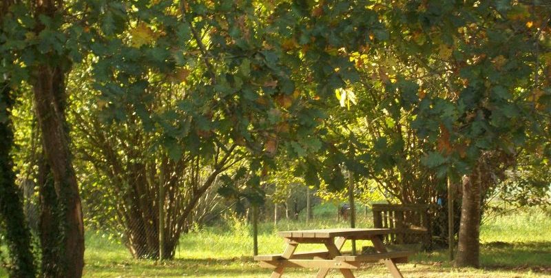 Parque Cubillas de Ramales de la Victoria