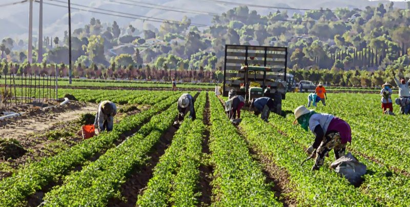 Siniestralidad laboral