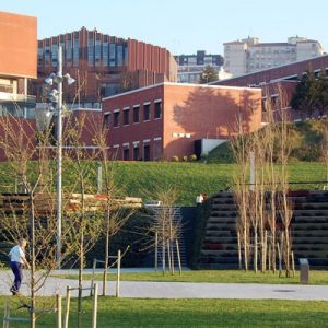 Universidad de Cantabria